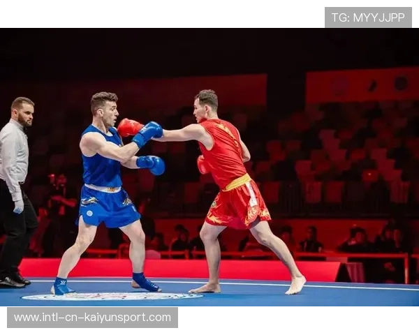 世界武术锦标赛散打男子决赛 中国选手KO夺金,第十届世界武术散打锦标赛 世界武术锦标赛散打男子决赛 中国选手KO夺金,第十届世界武术散打锦标赛
